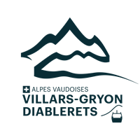 Télé-Villars-Gryon-Diablerets SA
