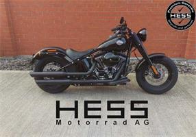 Hess Motorrad AG